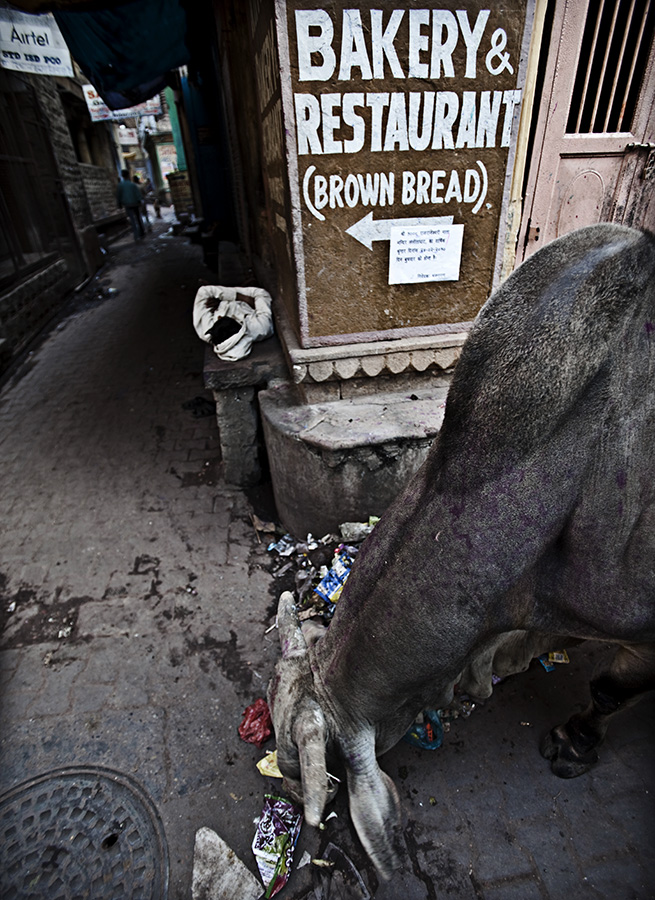 INDIA, UN VIAGGIO NELL'ANIMA - VARANASI 4