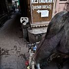 INDIA, UN VIAGGIO NELL'ANIMA - VARANASI 4