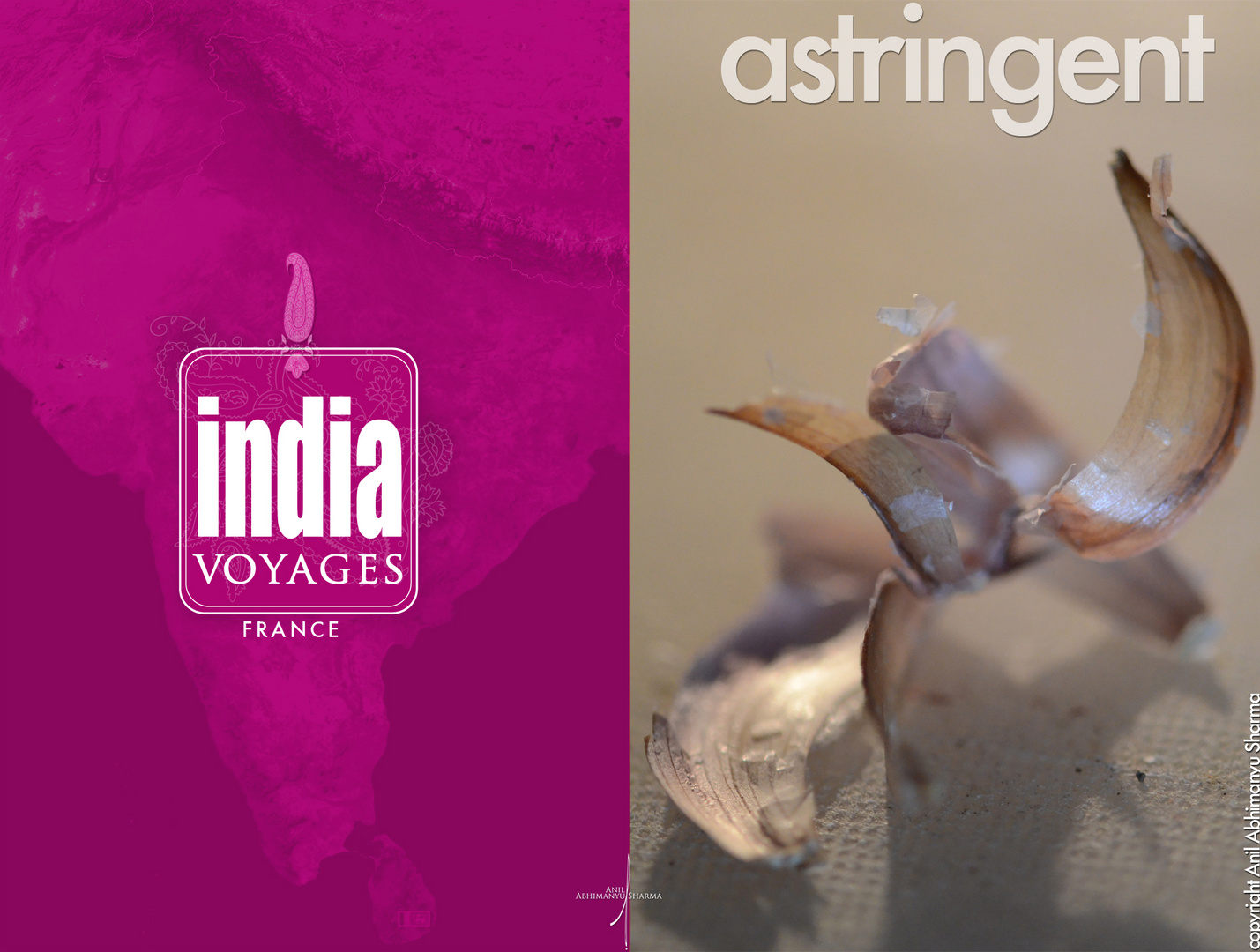 India Voyages France_Astringent ;)