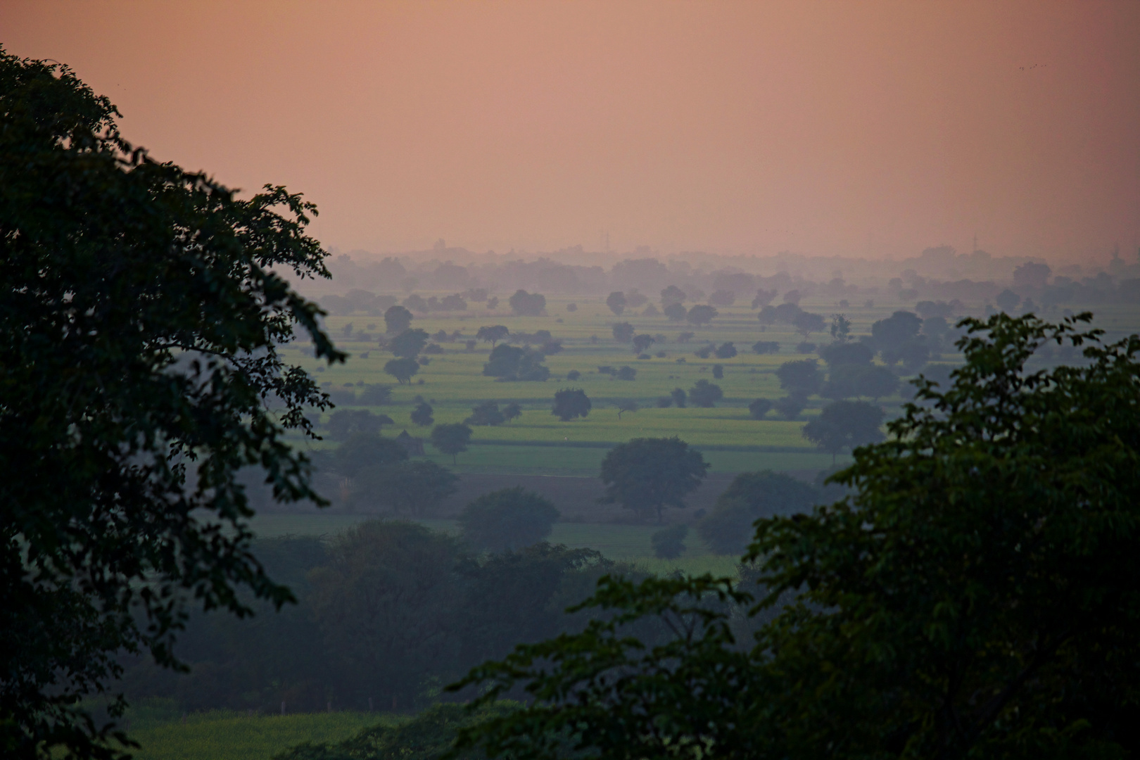 India_Landscape