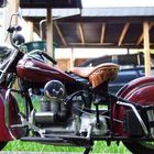 Indian 442