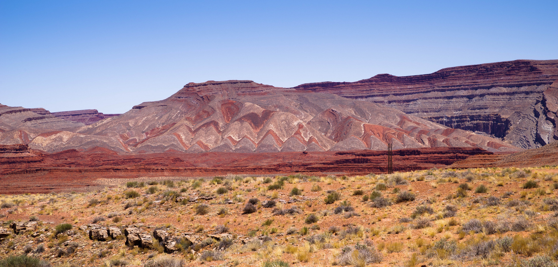 Indian Blanket nahe Mexican Hat