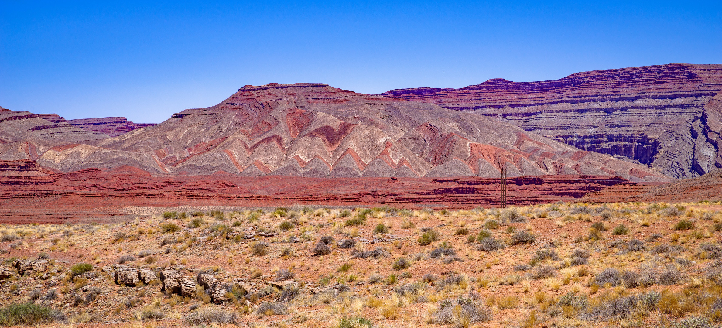 Indian Blanket nahe Mexican Hat