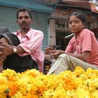 Indian Flowers