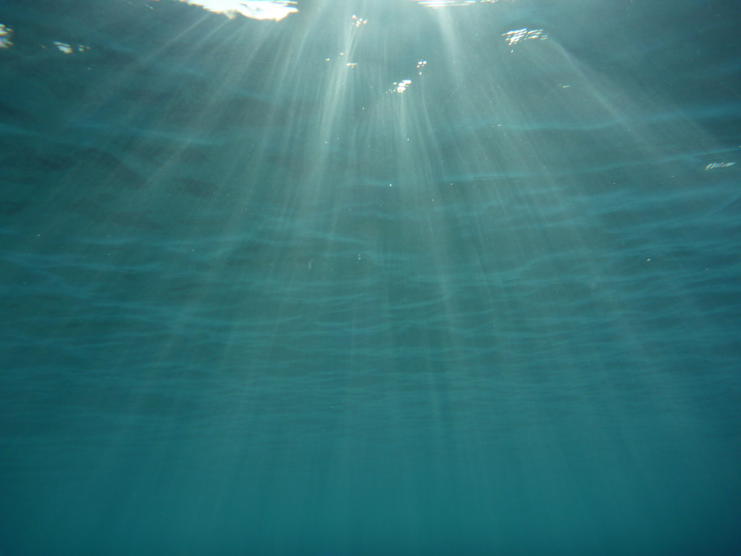 Indian Ocean @Sun Island, Maldives