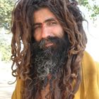 indian rasta