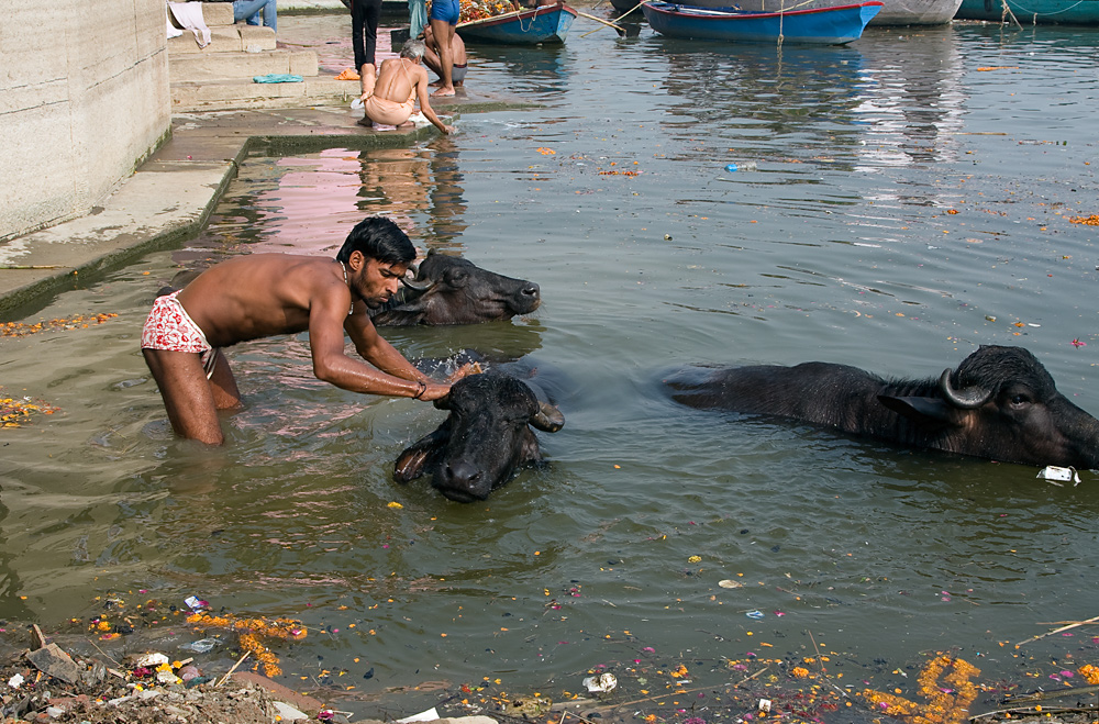 Indian Scenes 36