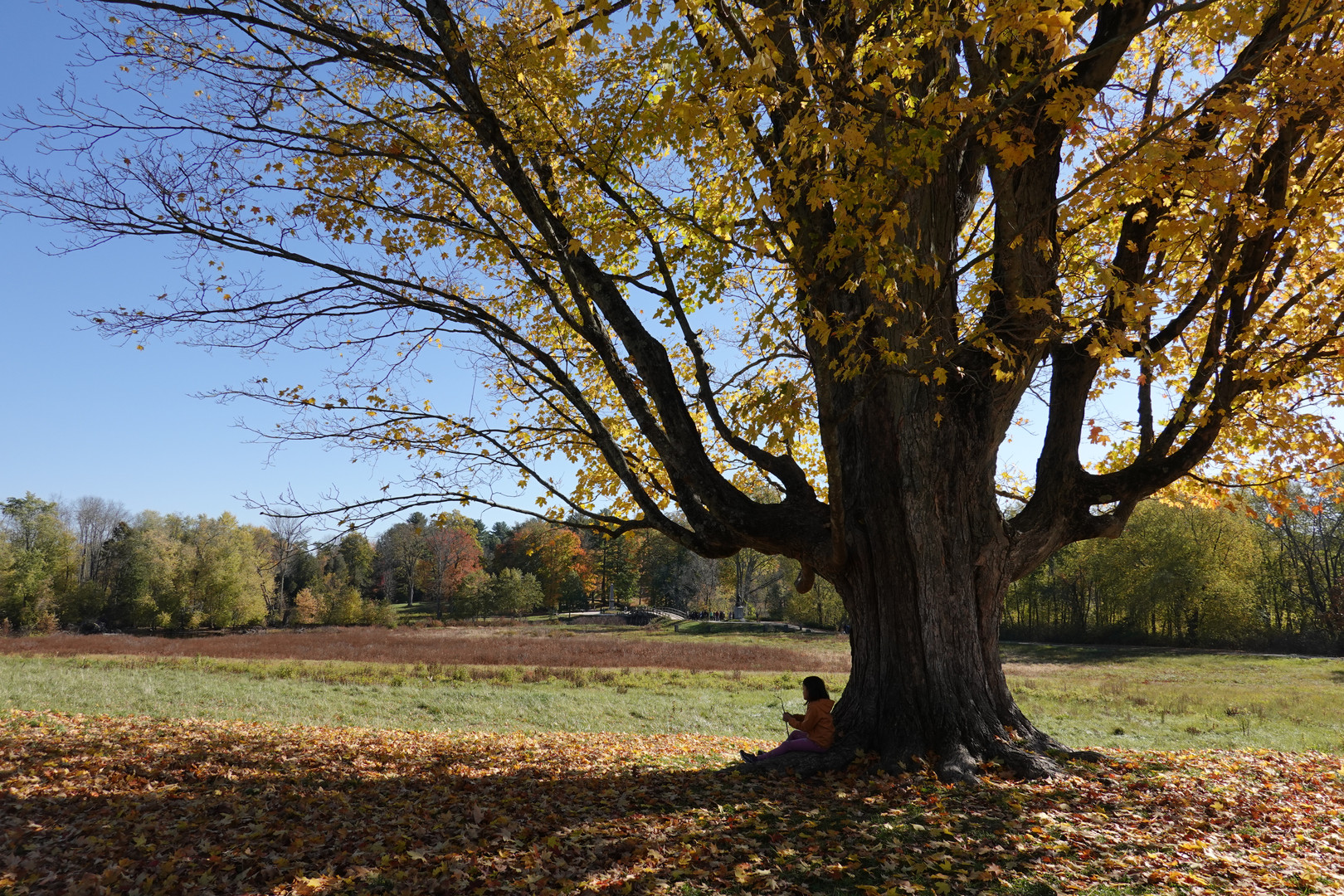 Indian Summer