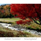 Indian Summer