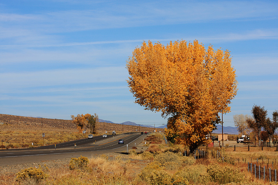 Indian Summer