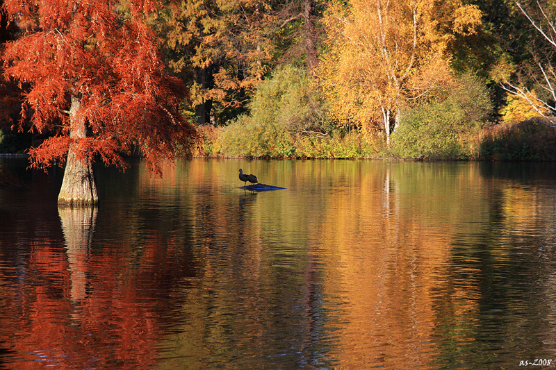 Indian Summer von as-photographie