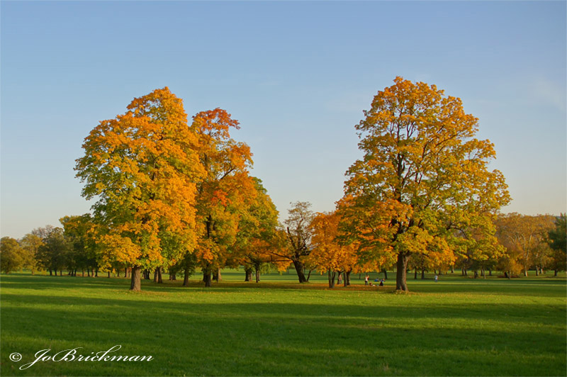 Indian Summer