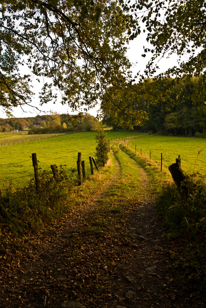 indian summer