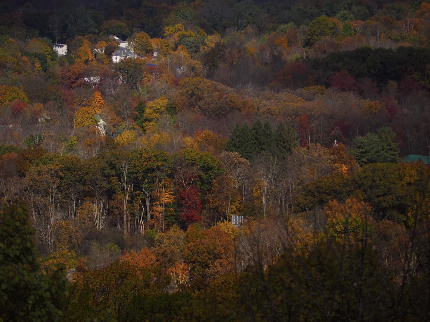 Indian Summer