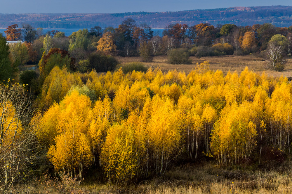 Indian Summer