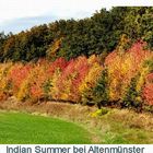 Indian Summer