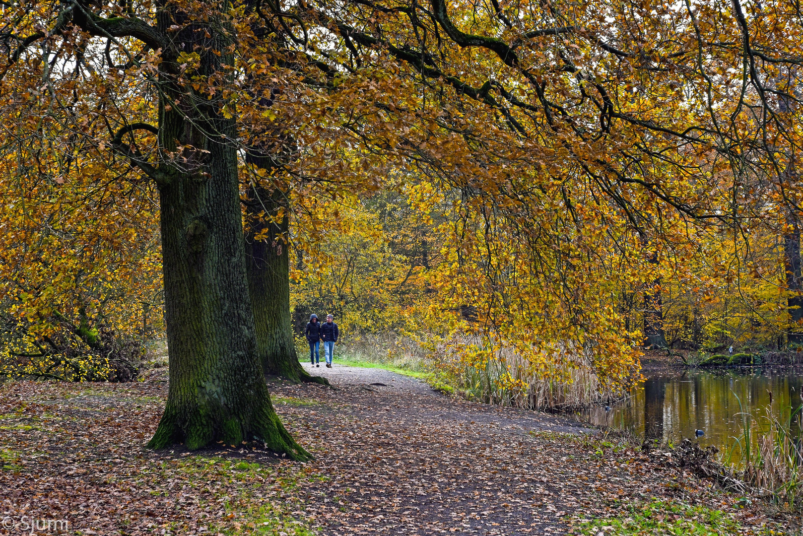 Indian Summer