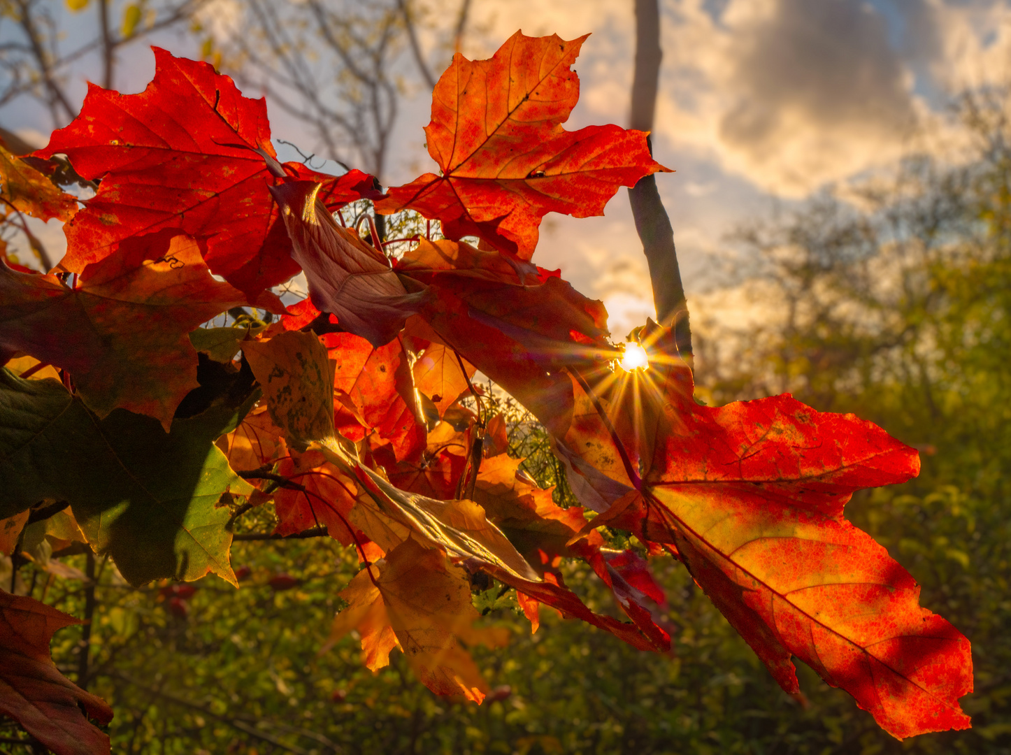 Indian Summer