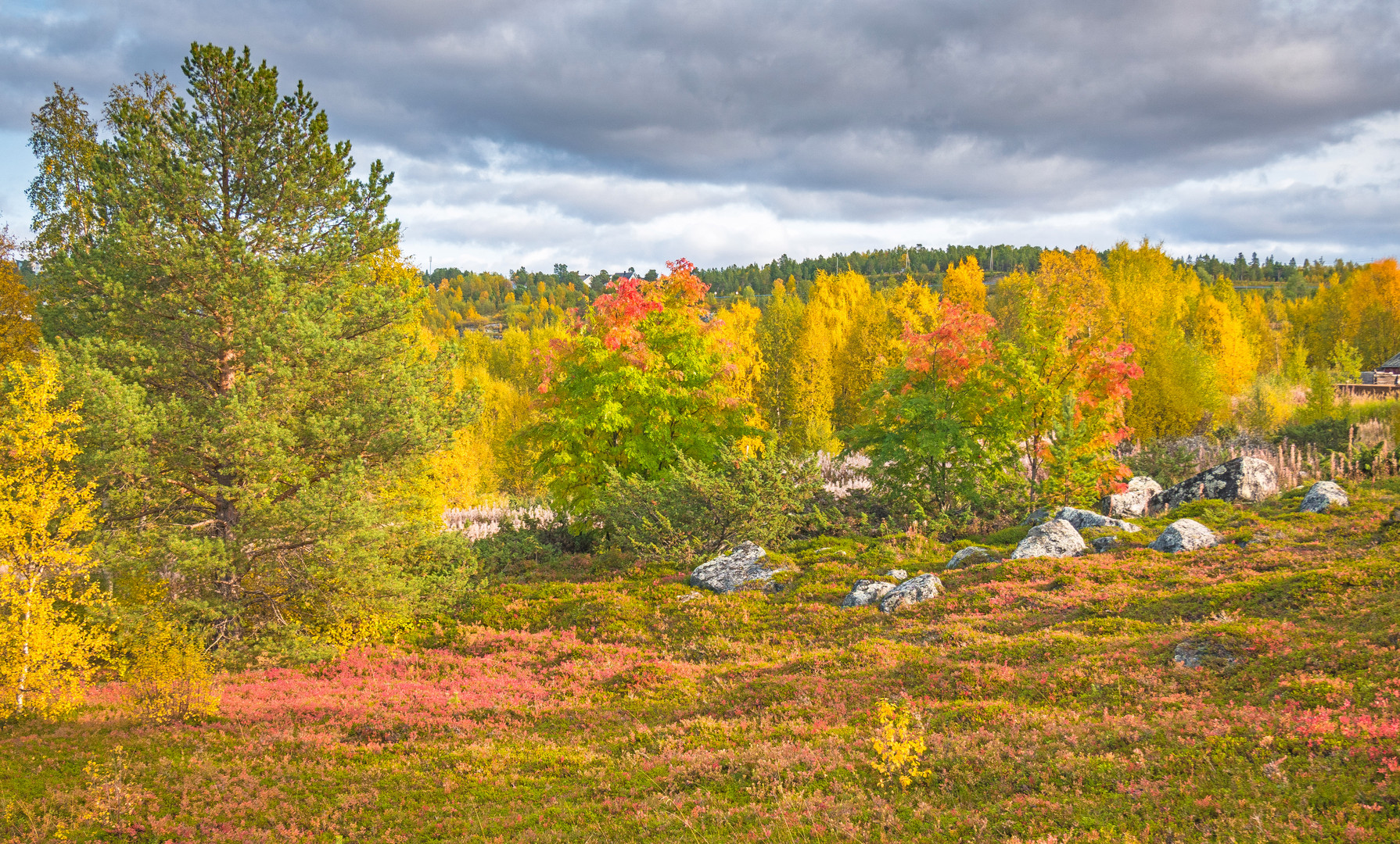 Indian Summer à la norvègienne