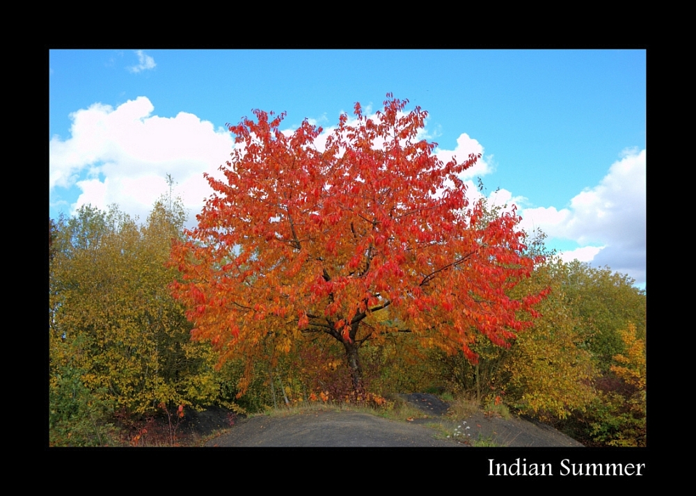 Indian Summer