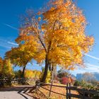 Indian Summer -aber in den Alpen :-)