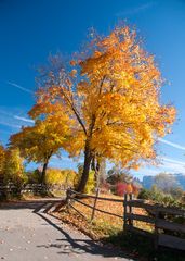 Indian Summer -aber in den Alpen :-)