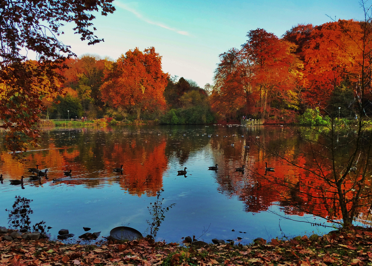 Indian Summer Foto &amp; Bild | jahreszeiten, herbst, natur Bilder auf ...