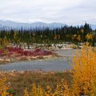 Indian summer am Alaska Highway