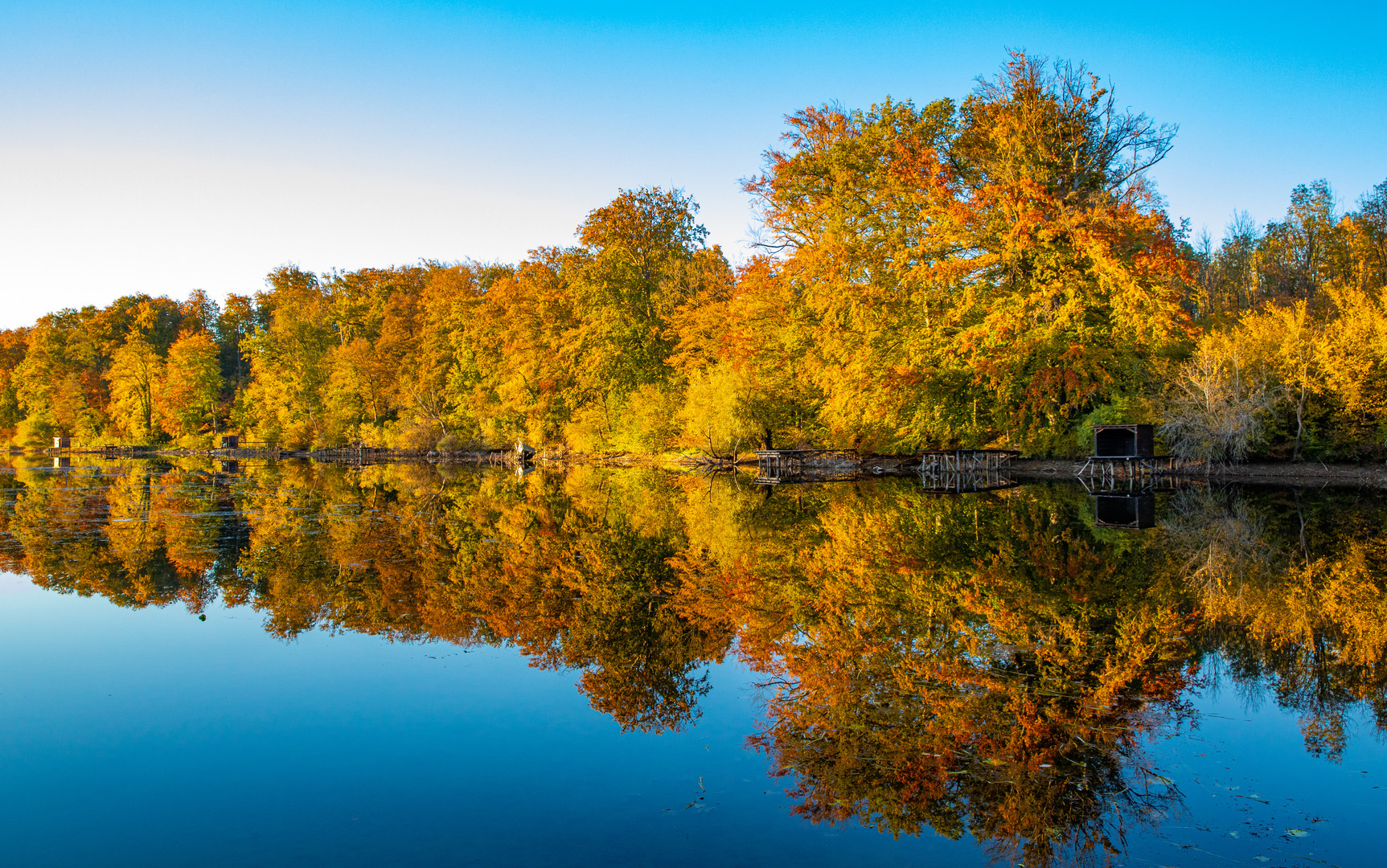 Indian summer am Altrhein