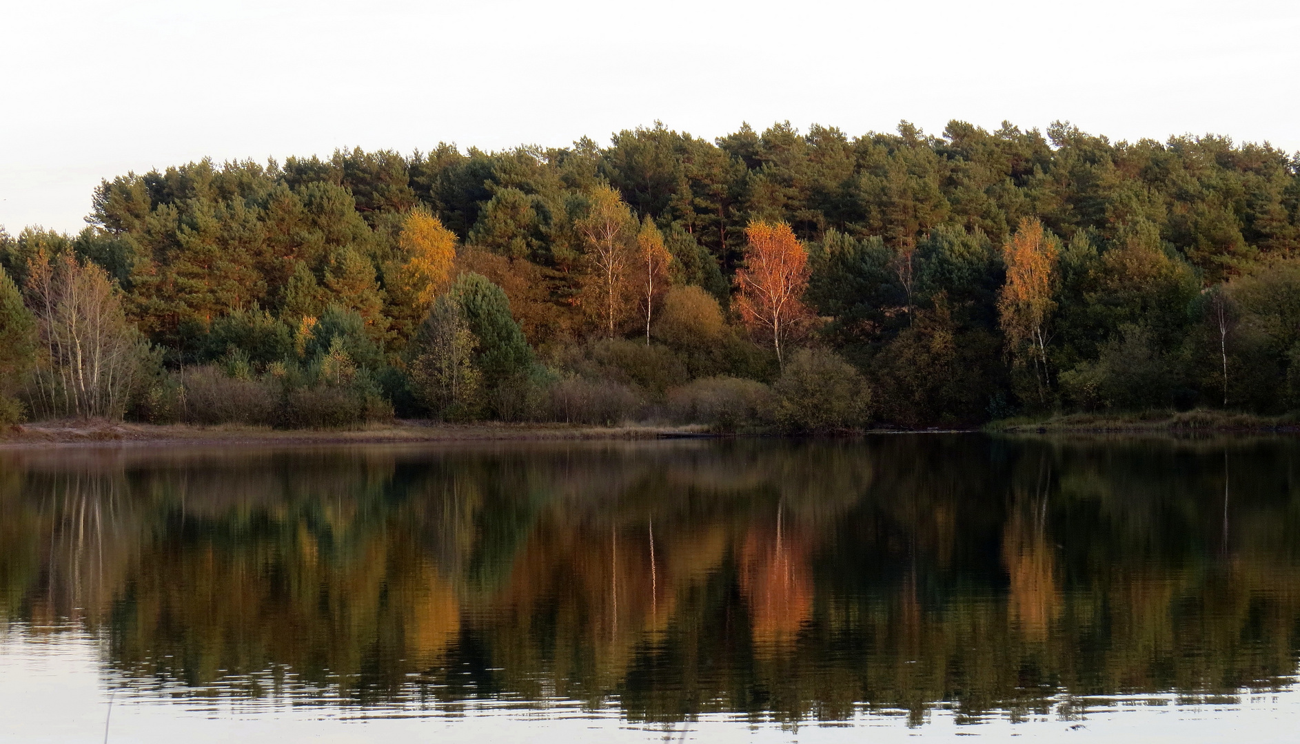 Indian summer am Baggersee