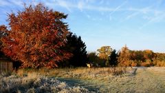 Indian Summer am Baggersee