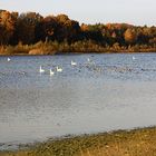 indian summer am baggersee IV