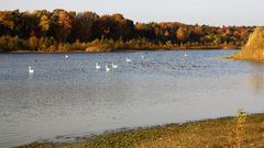 indian summer am baggersee IV