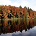 Indian Summer am Bodensee - Daisendorf