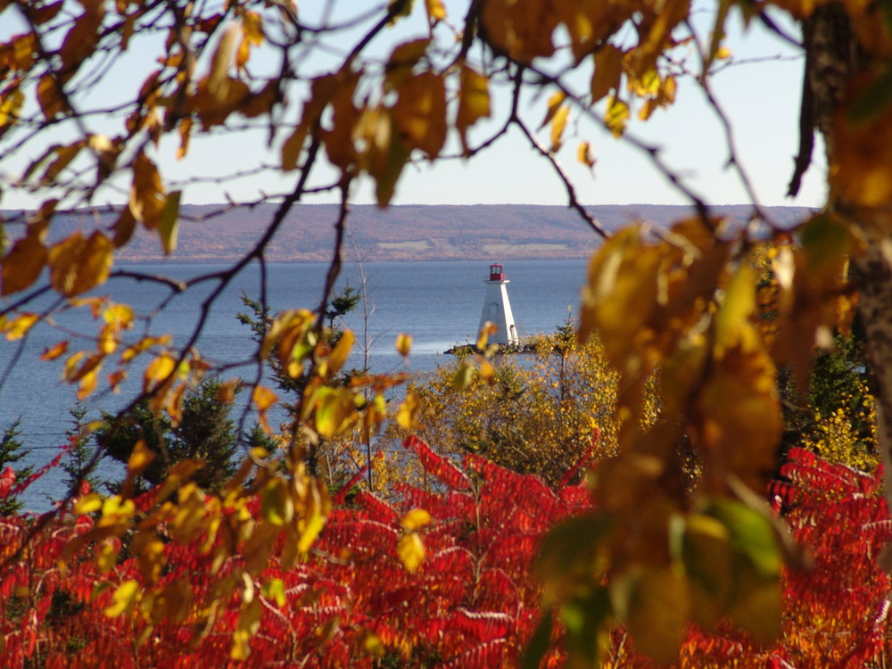 Indian Summer am Bras dor Lake Nova Scotia