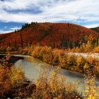 Indian Summer am Dempster Highway