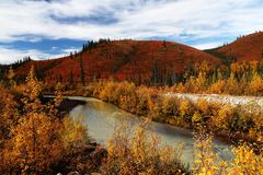 Indian Summer am Dempster Highway