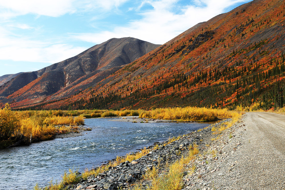 Indian Summer am Dempster Highway II