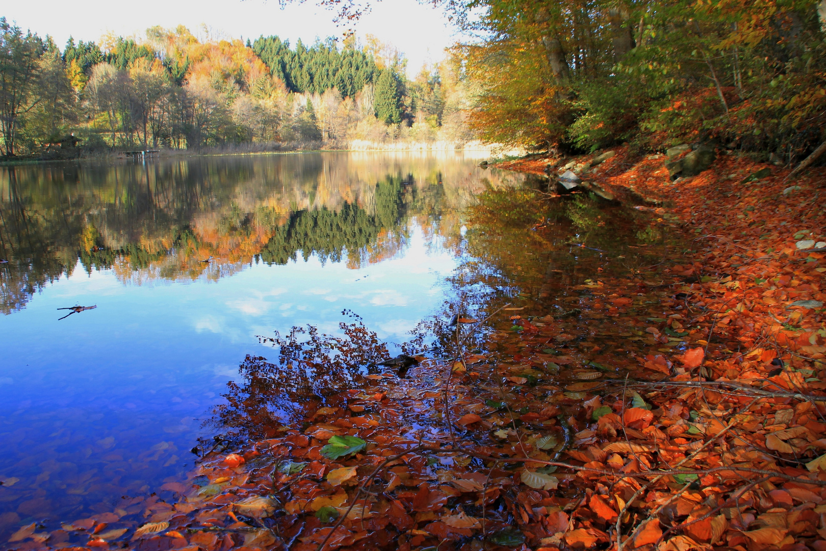 indian summer am Elfenweiher II