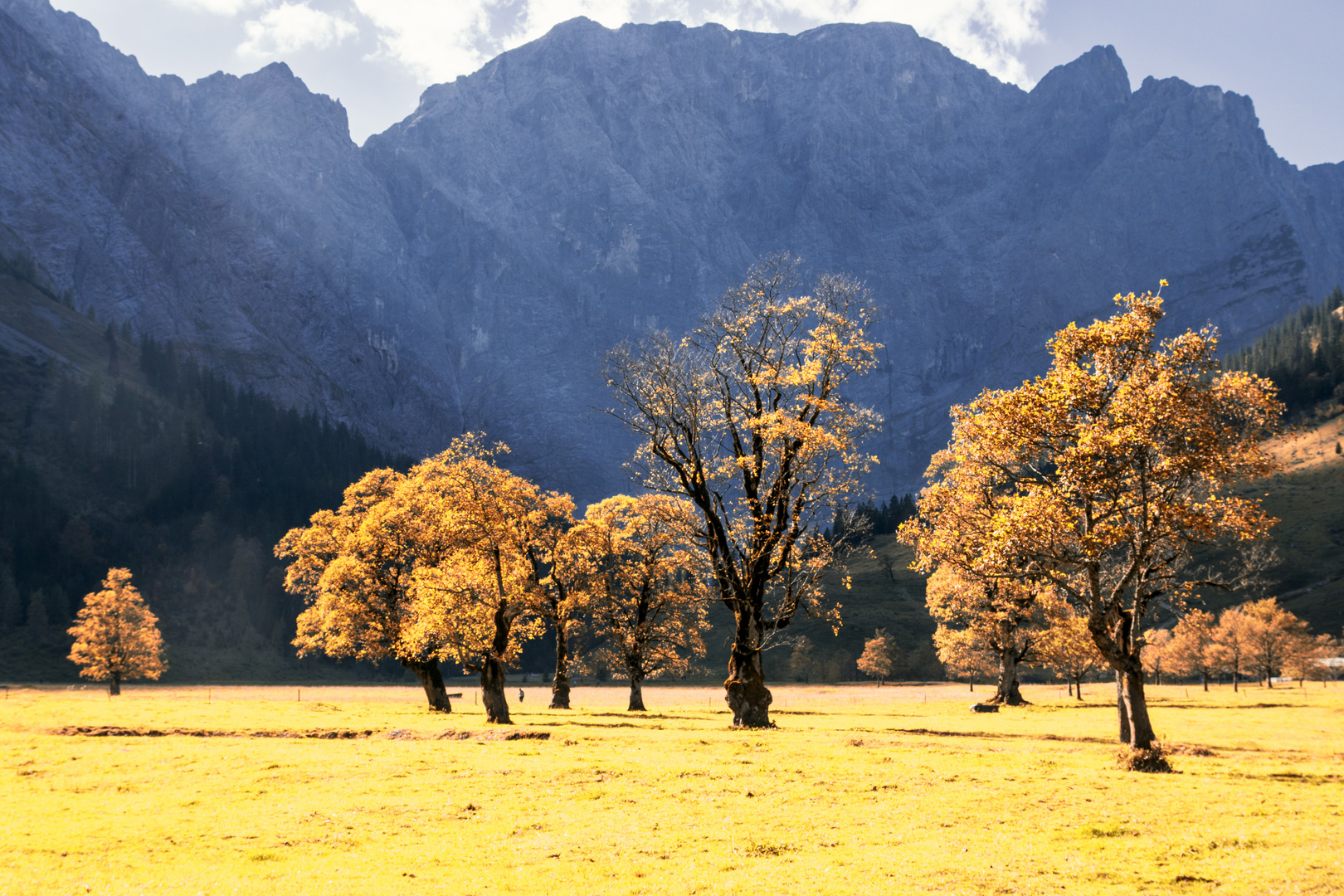 Indian Summer am großen Ahornboden