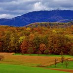 *Indian Summer* am Hochblauen