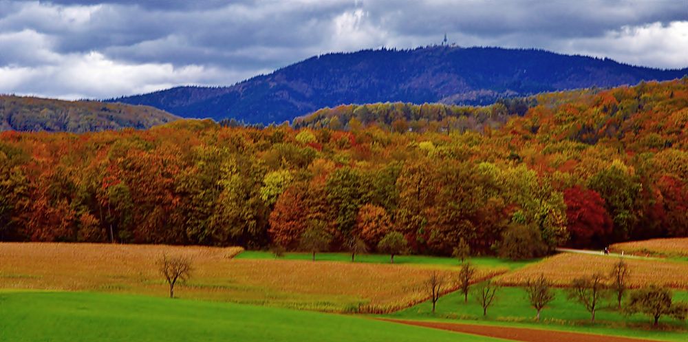 *Indian Summer* am Hochblauen