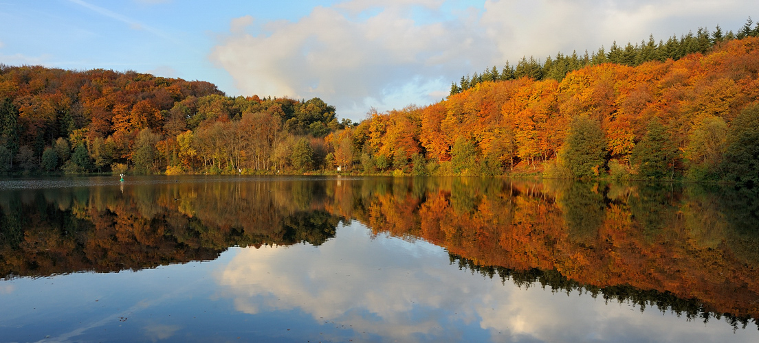 Indian Summer am Holzmaar (3)