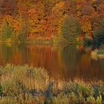 *Indian Summer am Holzmaar*