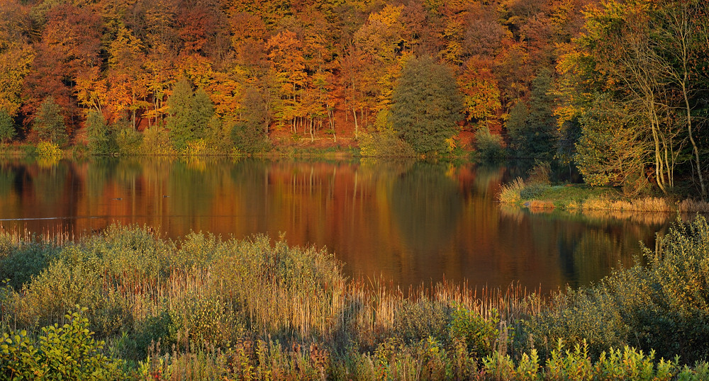 *Indian Summer am Holzmaar*