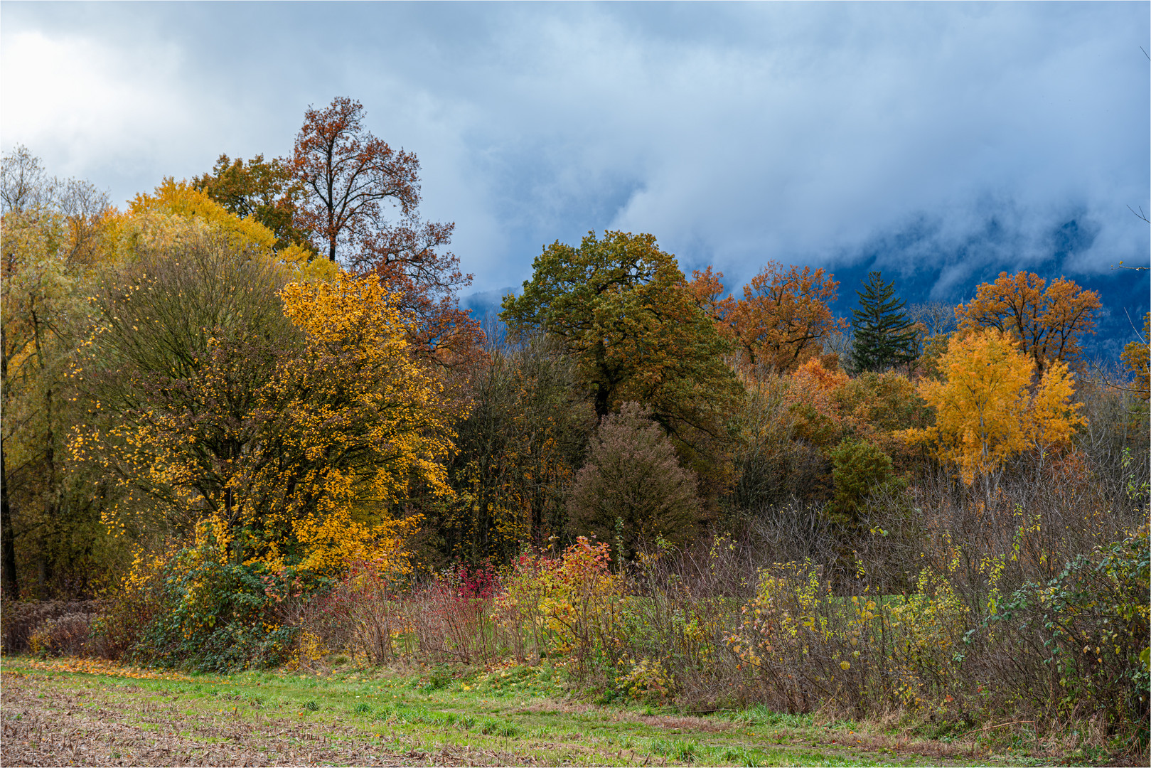  * INDIAN SUMMER AM JURASÜDFUSS *