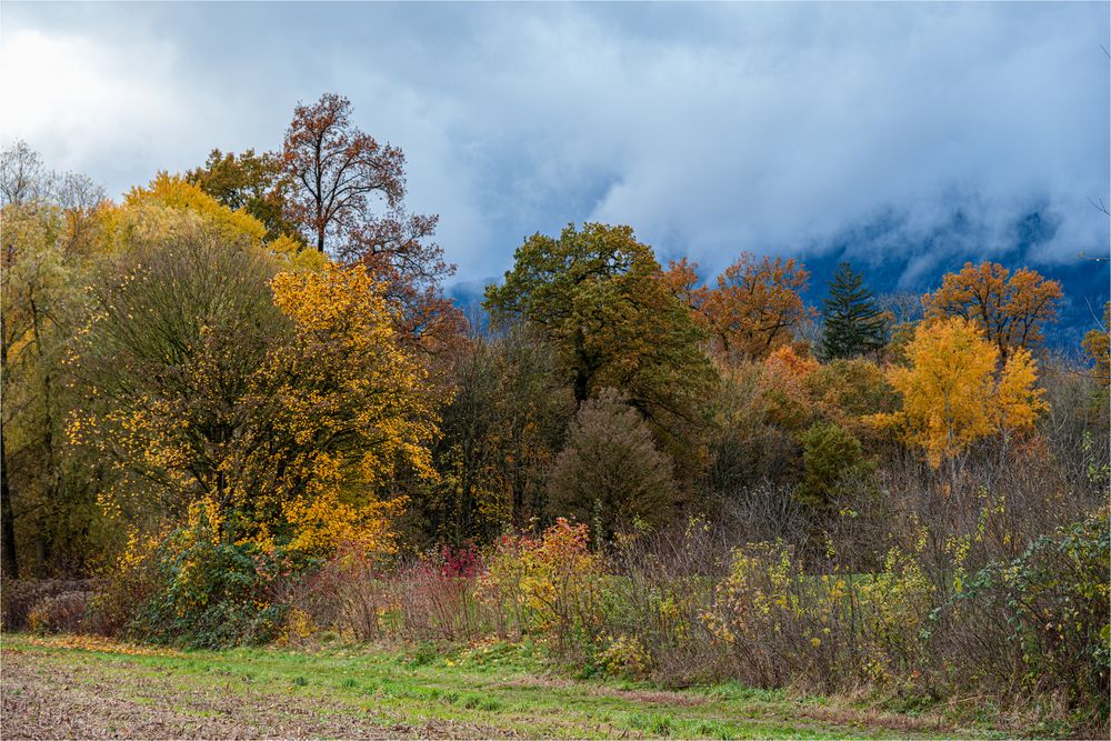  * INDIAN SUMMER AM JURASÜDFUSS *