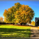 indian summer am Kloster Schiffenberg