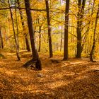 indian summer am lilienstein