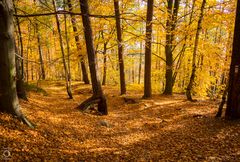 indian summer am lilienstein